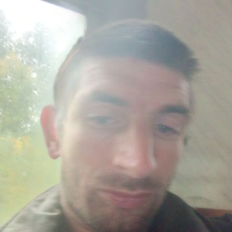  31502420  , 36 ,    
