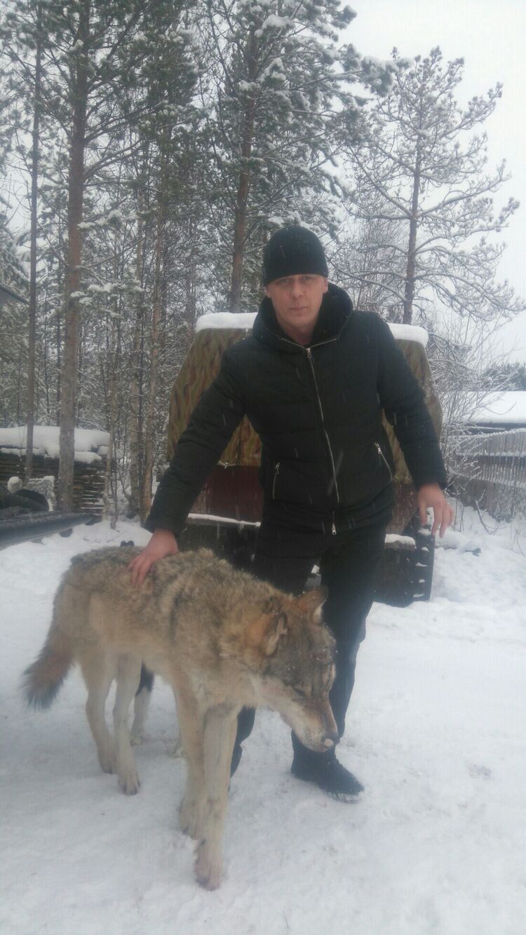 ���������� ������������, ���� ������� �������, 44 ����, ������������ ��� ������, ����� � ���������