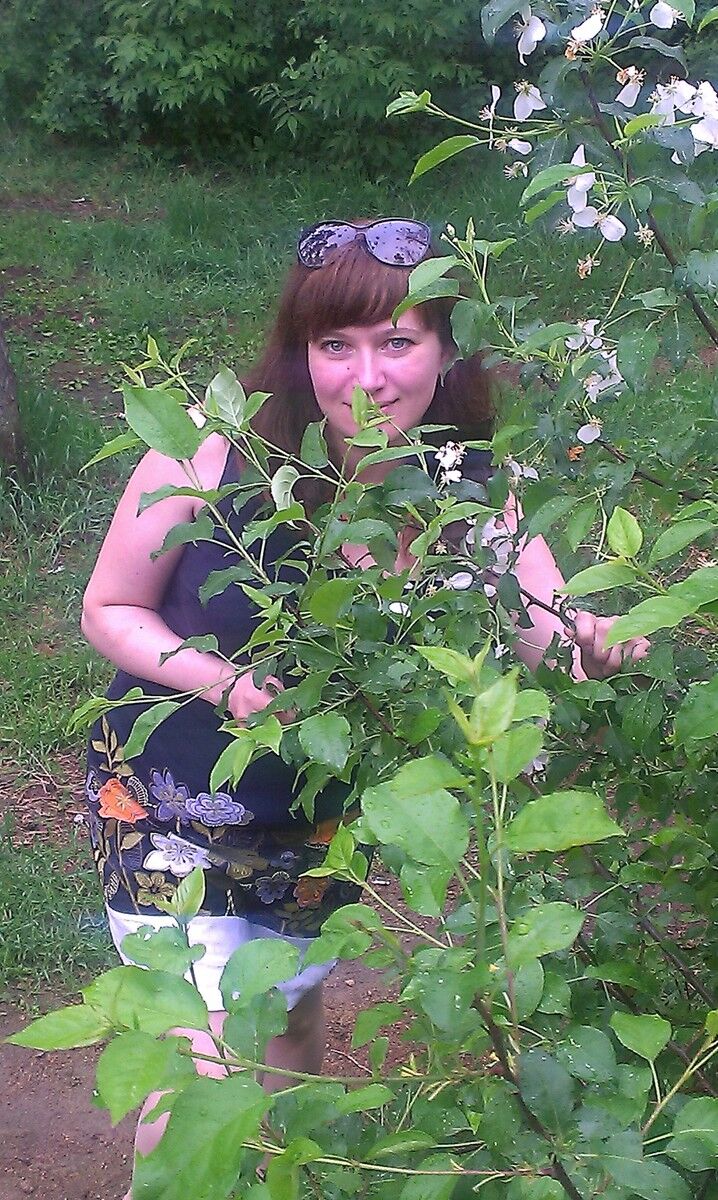 ���������� ���������, ���� ������� �����, 44 ����, ������������ ��� ������, ����� � ���������, c�������� ���������