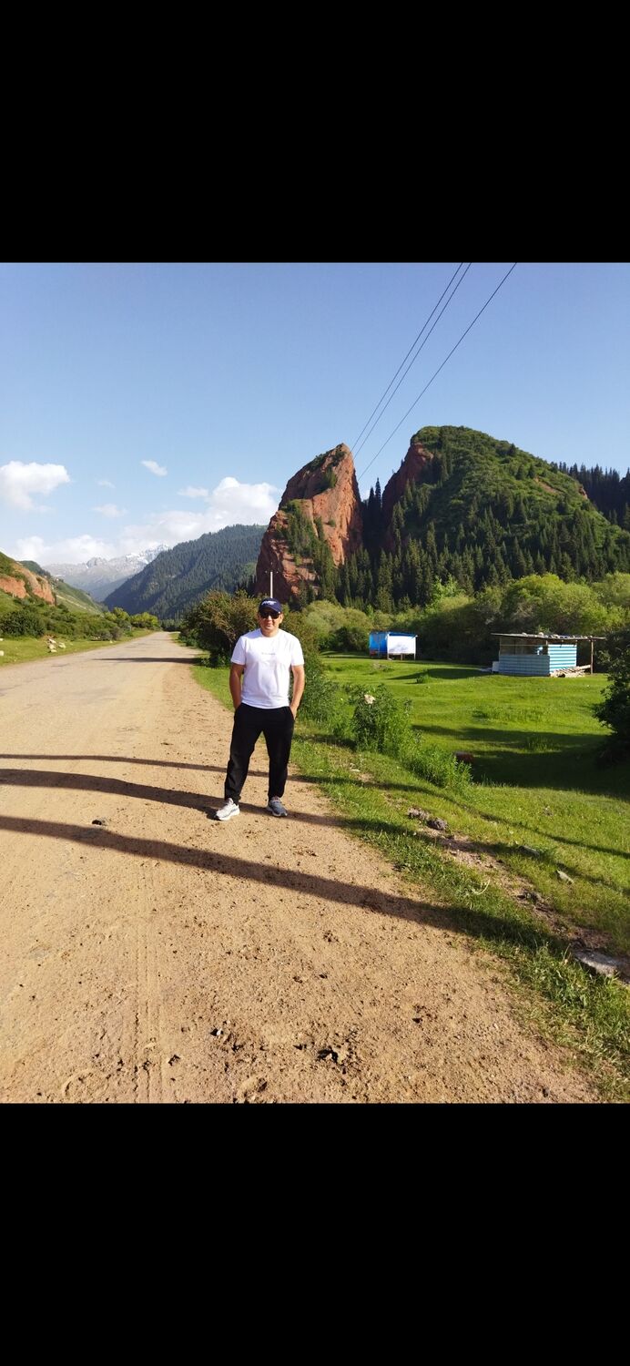 ���� 31308600 ������� ����, 36 ���, ���� ���������� � ������