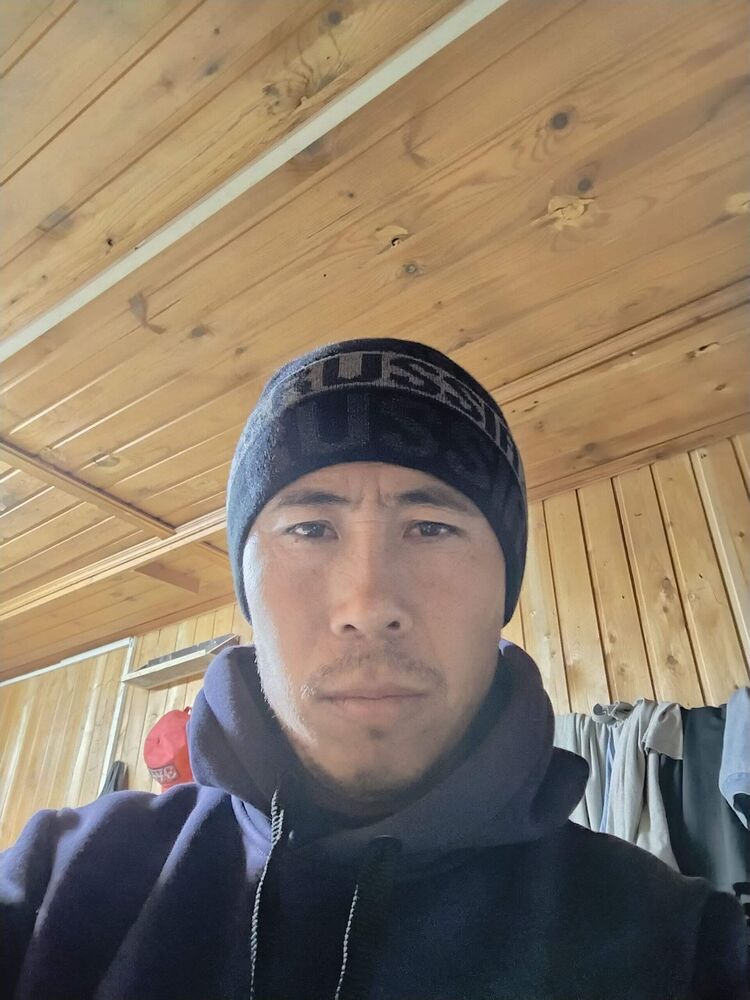 ���� 55327570 ������� ������, 36 ���, ���� ���������� � ��������