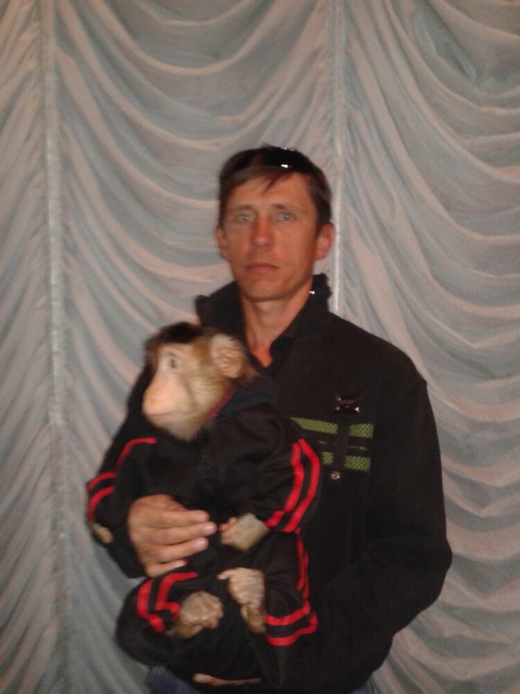  ,   Andrei, 46 ,     , c 