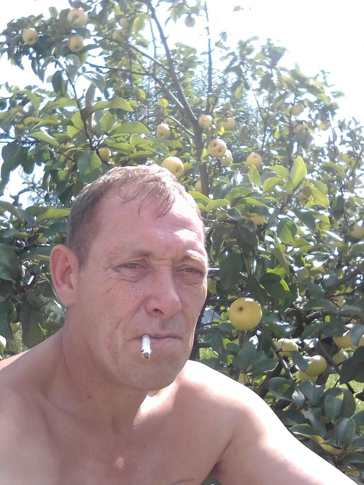  33097840  , 46 ,    
