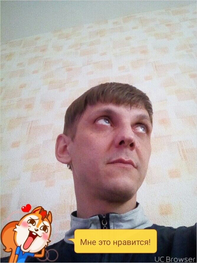  9512880  , 50 ,    
