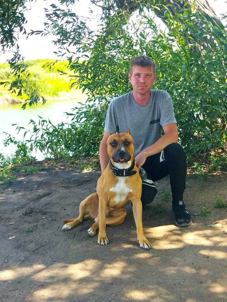 ���� 37246630 ������� ����, 38 ���, ���� ���������� � ��������