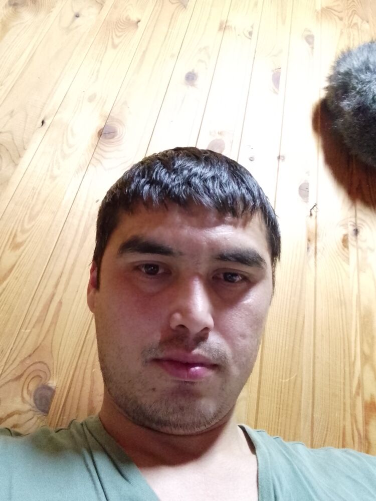  41084550    , 31 ,    