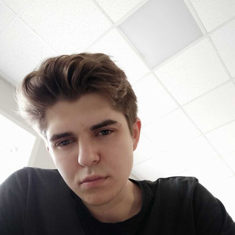 ���� 19956650 ����� ����, 24 ����, ���� ���������� � �������