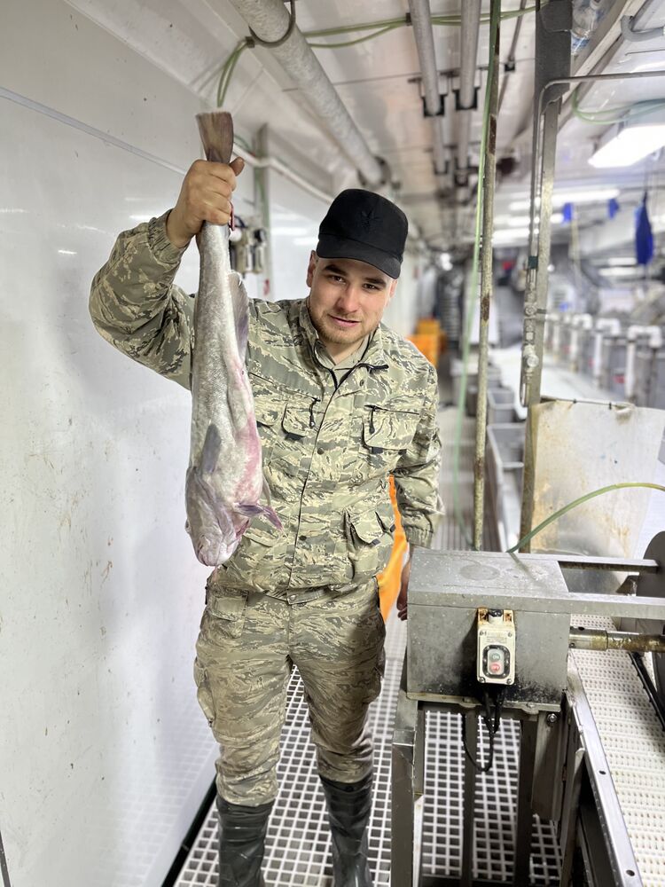  -,   , 32 ,   ,   , c 