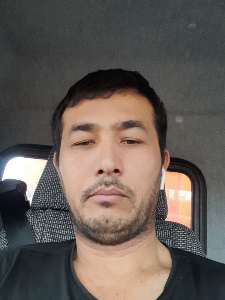 ���� 24268100 ������� �����, 40 ���, ���� ���������� � ������