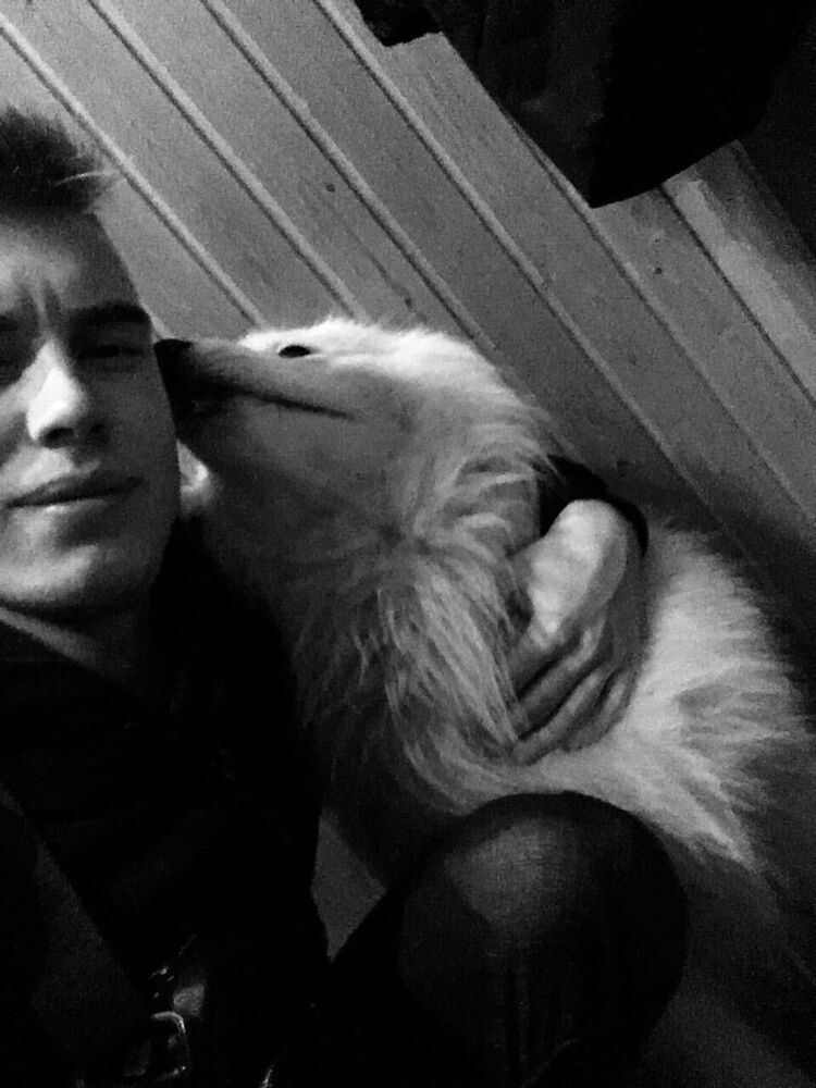 ���������� ���������, ���� ����� ������, 24 ����, ������������ ��� ������, ����� � ���������