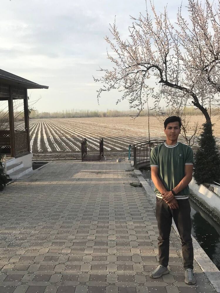 ���������� ������, ���� ����� ������, 24 ����, ������������ ��� ������, ����� � ���������, c�������� ���������