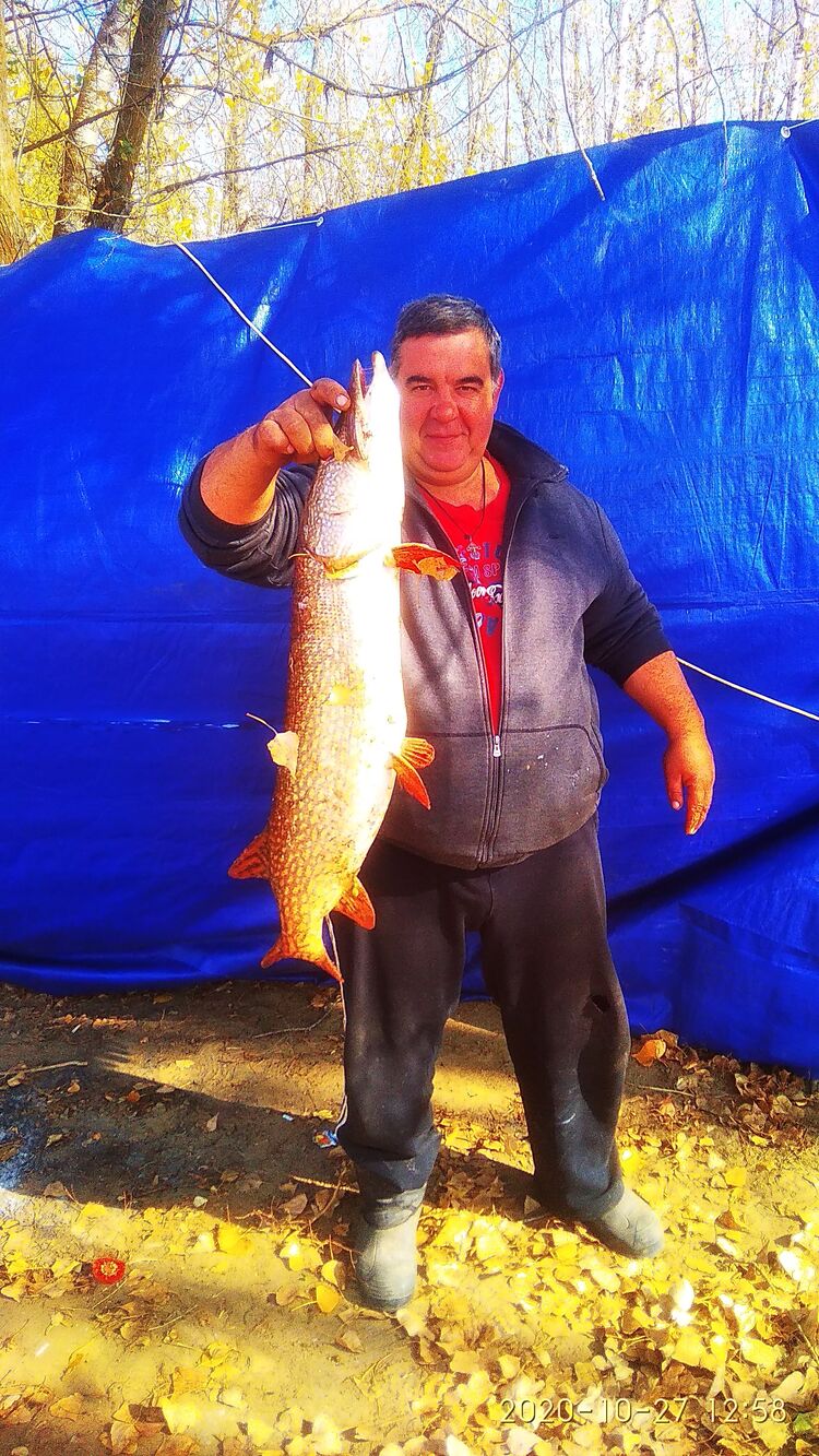 ���������� ���������, ���� ������� ������������, 50 ���, ������������ ��� ����� � ���������, c�������� ���������, ���������