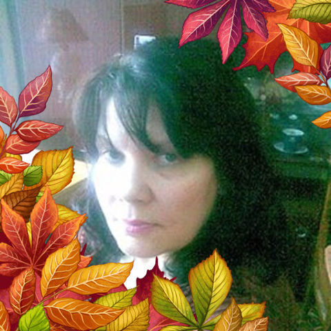  ,   , 61 ,   ,   