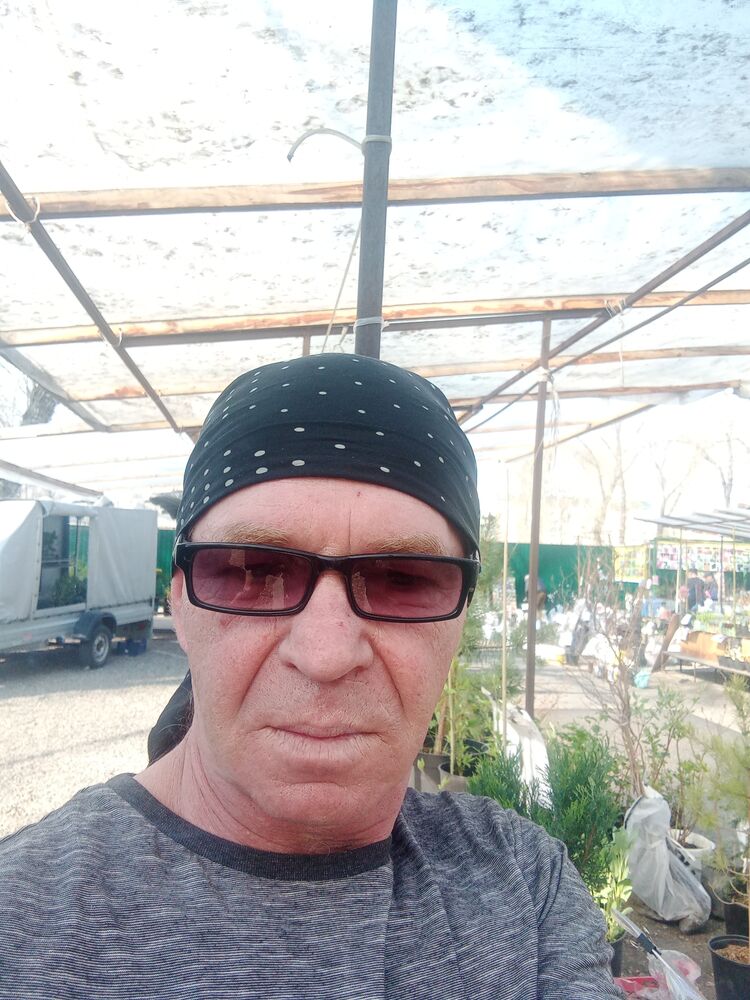  36674050  , 53 ,    