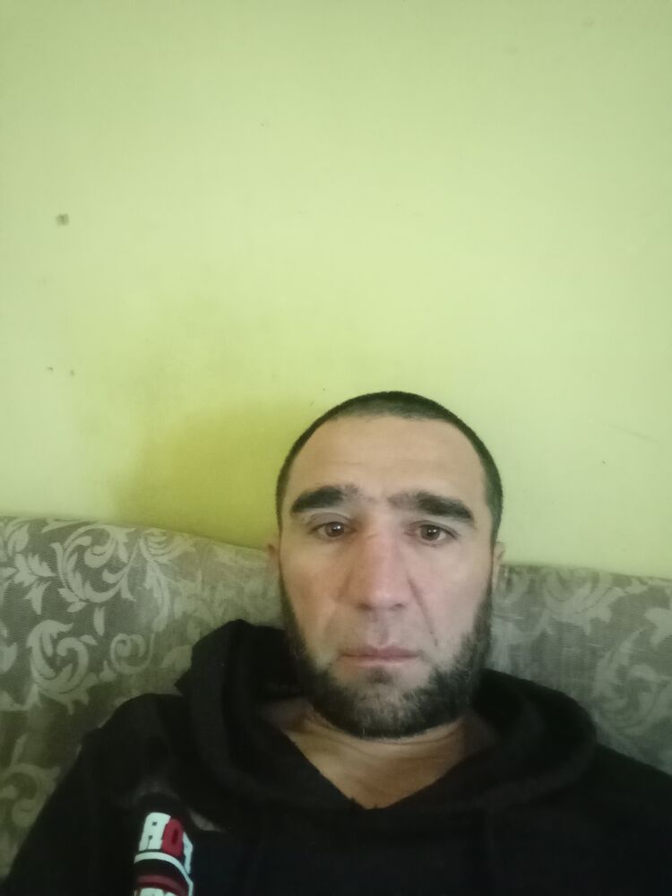  43908850  , 43 ,    