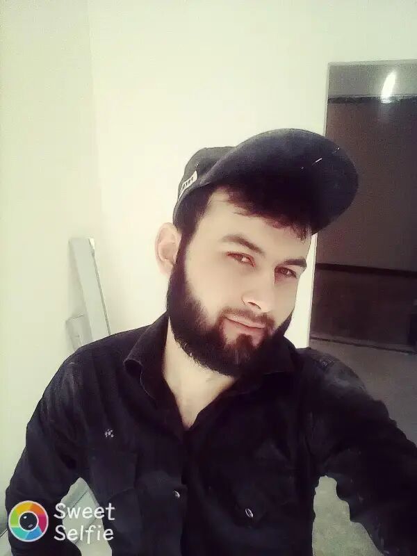  23379100  , 31 ,    -