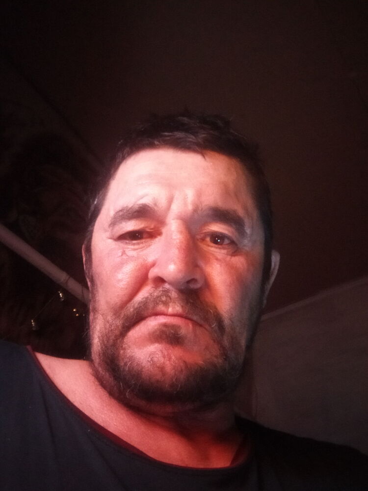  40971730  , 51 ,    