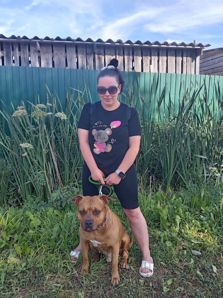  54459230  , 35 ,    -