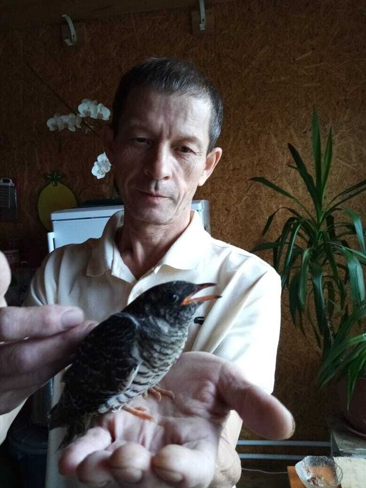 ���������� ���������, ���� ������� ������, 55 ���, ������������ ��� ������, ����� � ���������, c�������� ���������