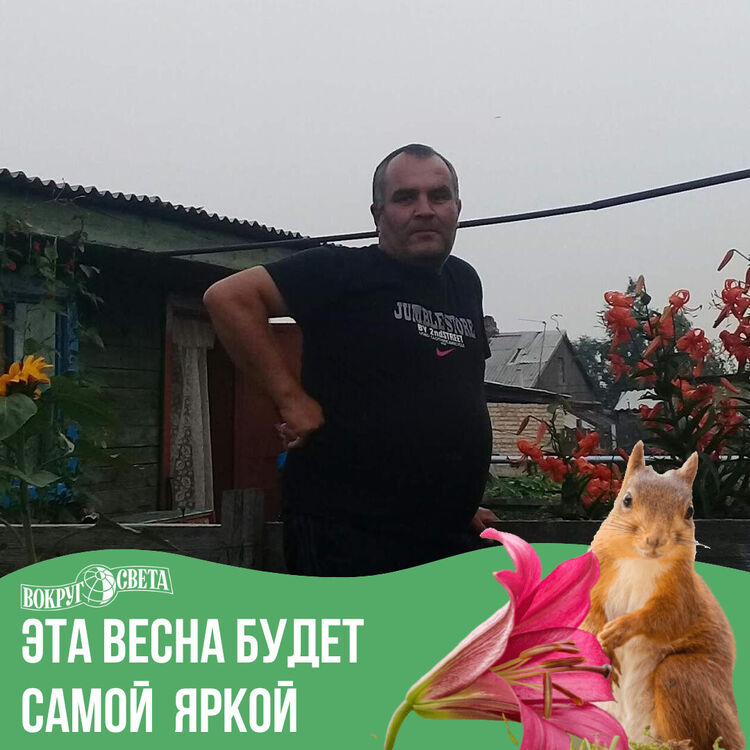  35098200  , 43 ,    