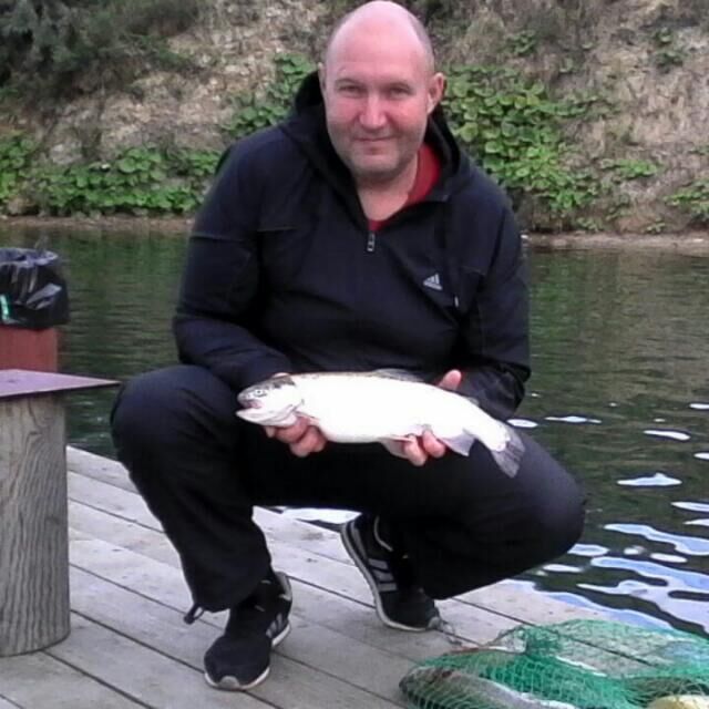  ,   , 53 ,   ,   