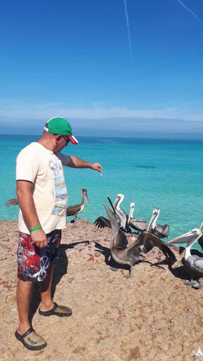 ���������� �����������, ���� ������� ����, 40 ���, ������������ ��� ������, ����� � ���������, c�������� ���������, ���������