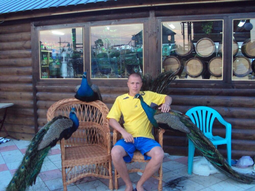 ���������� ��������, ���� ������� ������, 43 ����, ������������ ��� ����� � ���������, c�������� ���������