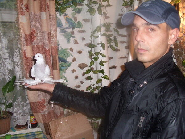 ���� 5342540 ������� �������, 41 ���, ���� ���������� � ������