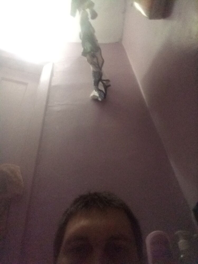 ���� 18450260 ������� ������, 33 ����, ���� ���������� � �������