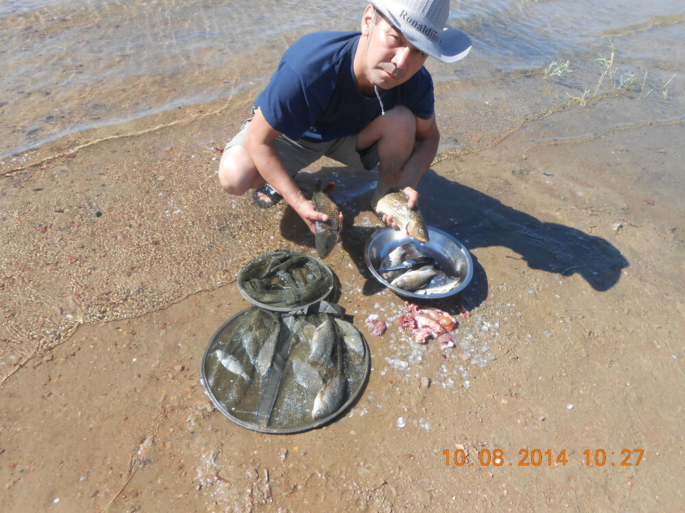 ���������� ������, ���� ������� Saken, 54 ����, ������������ ��� ������, ����� � ���������, c�������� ���������, ���������