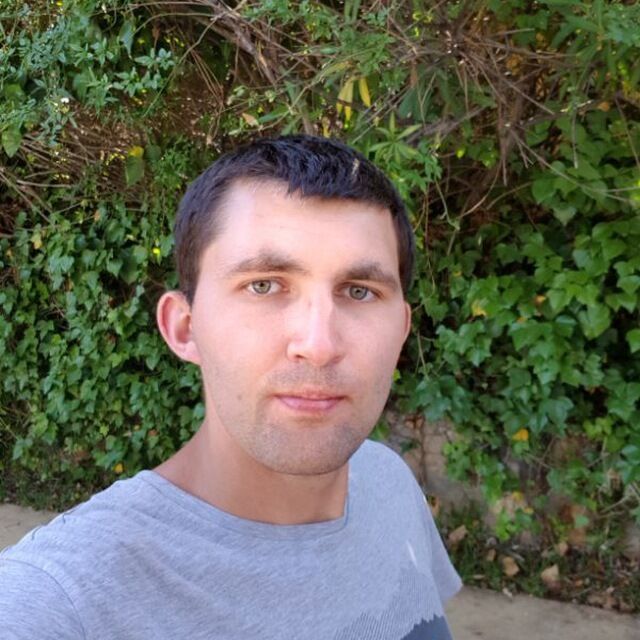 ���� 43172500 ������� ��������, 31 ���, ���� ���������� � ������