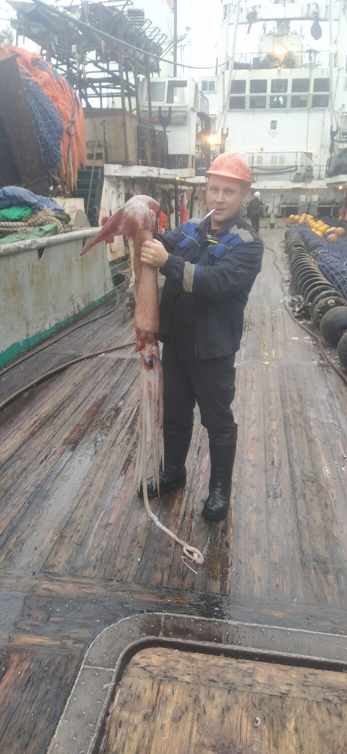 ���������� �����������, ���� ������� ���������, 37 ���, ������������ ��� ����� � ���������, c�������� ���������