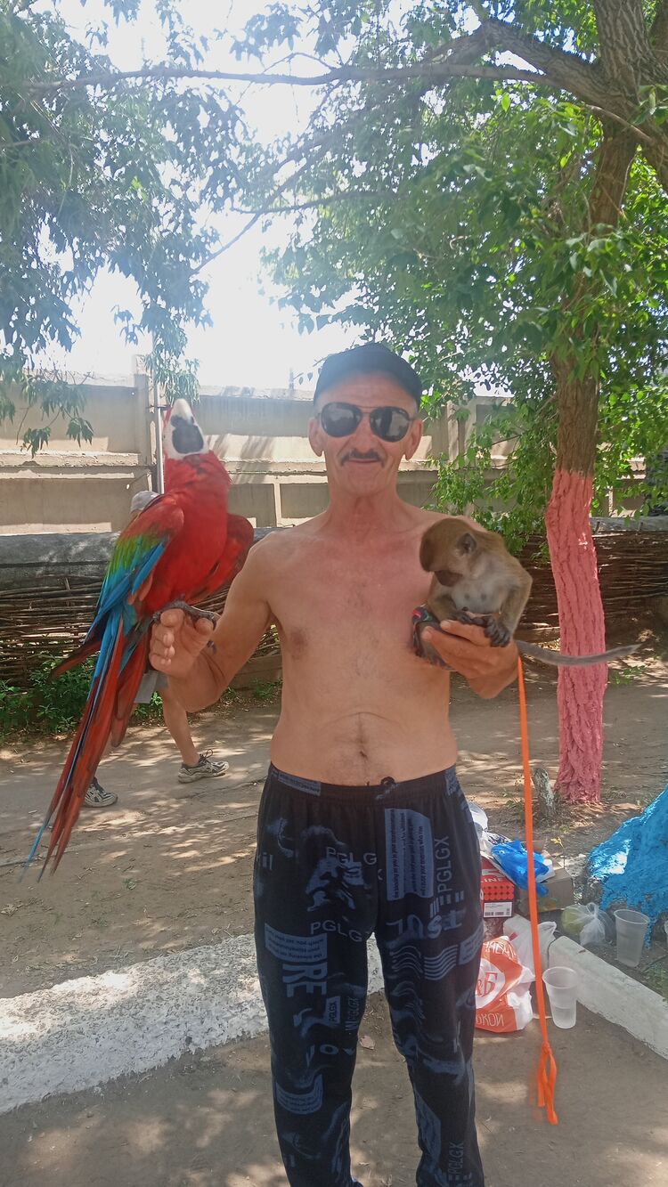 ���������� �������, ���� ������� ���������, 65 ���, ������������ ��� ������, ����� � ���������, c�������� ���������