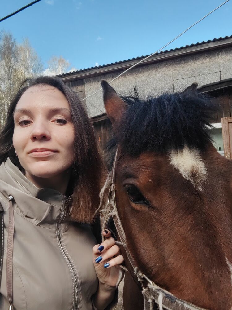  26810500  , 31 ,    -