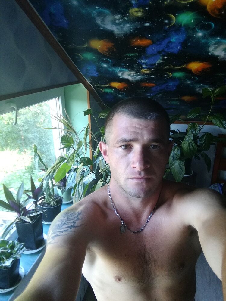 ���� 17049350 ������� �����, 38 ���, ���� ���������� � ��������