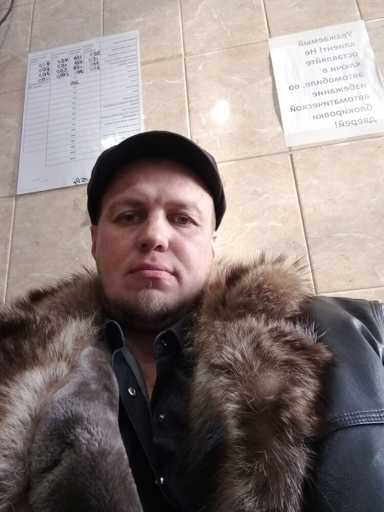  31555880  , 38 ,    