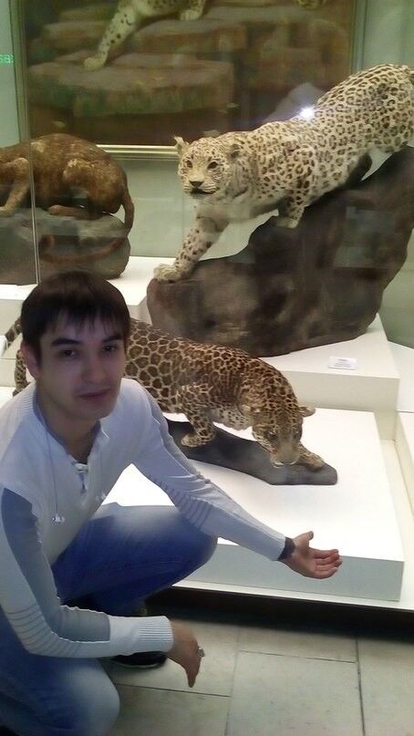 ���������� ������, ���� ������� ����, 36 ���, ������������ ��� ������, ����� � ���������, c�������� ���������