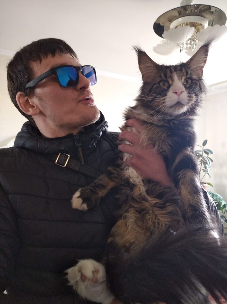  ,   , 39 ,   ,   