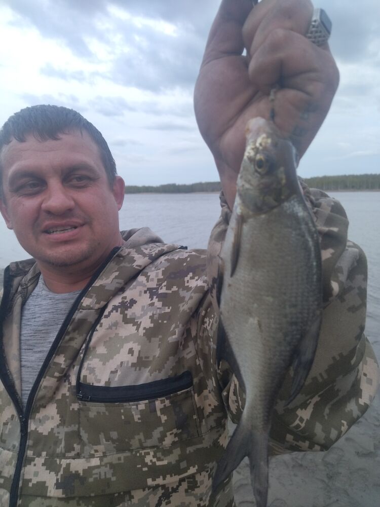 ���������� �����������, ���� ������� �������, 36 ���, ������������ ��� ������, ����� � ���������