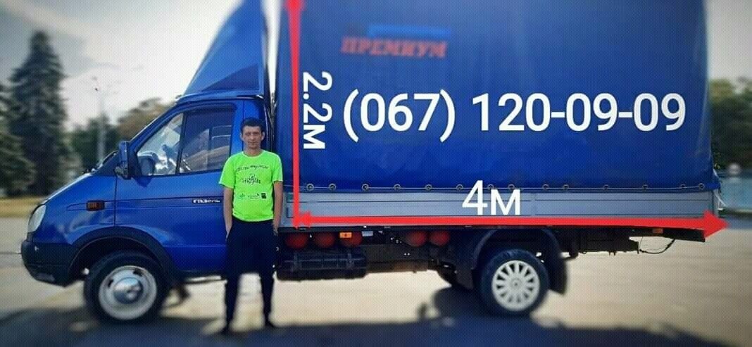  17724460  , 49 ,    
