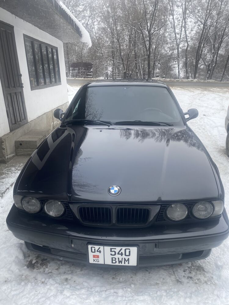 ���� 56258130 ����� ���, 21 ���, ���� ���������� � �������