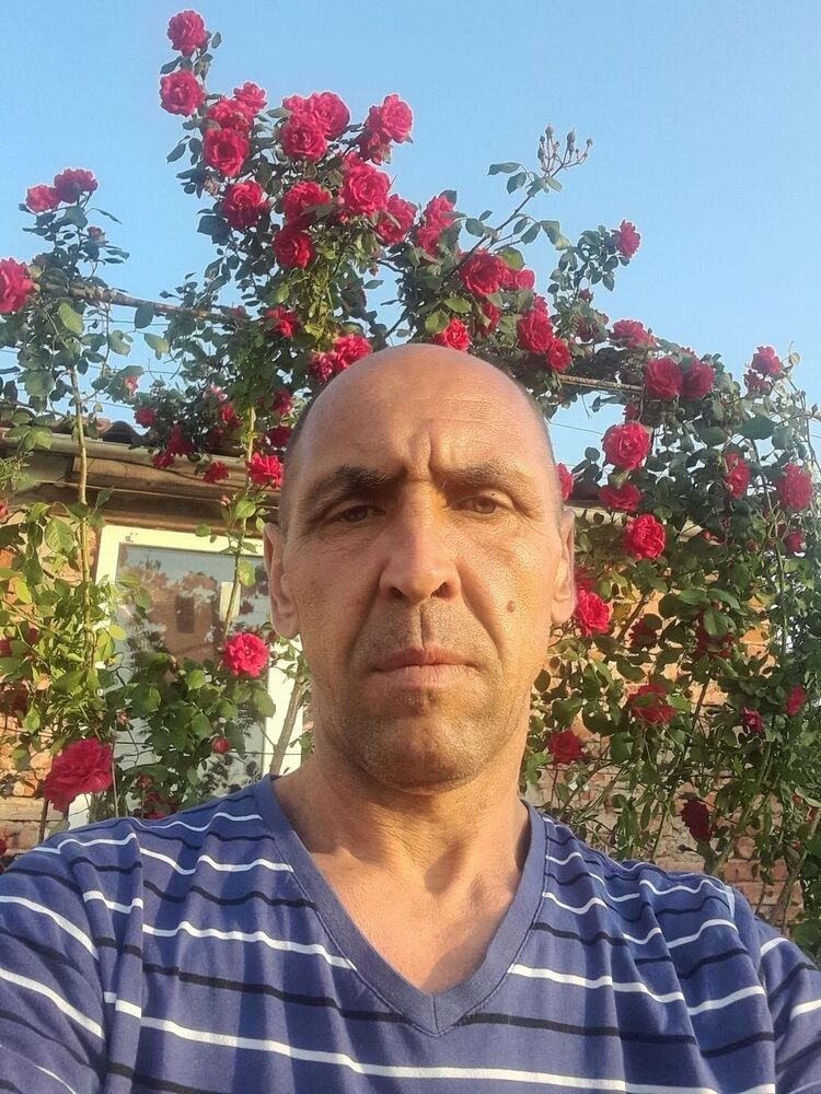 26741660  , 46 ,    