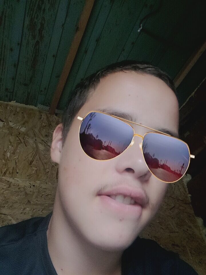  45013780  Dokar, 19 ,    