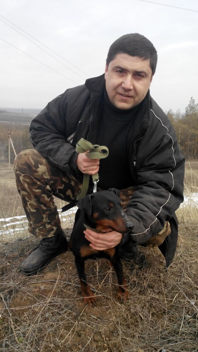 ���������� ������, ���� ������� �����, 52 ����, ������������ ��� ������, ����� � ���������, c�������� ���������