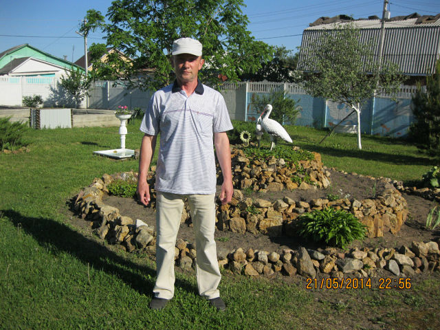 ���� 55858360 ������� ������, 67 ���, ���� ���������� � ���������� ������