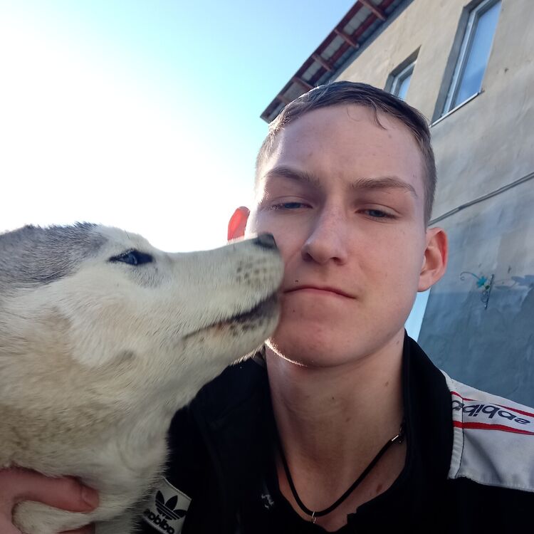 ���� 38497800 ����� �������, 20 ���, ���� ���������� � �������������