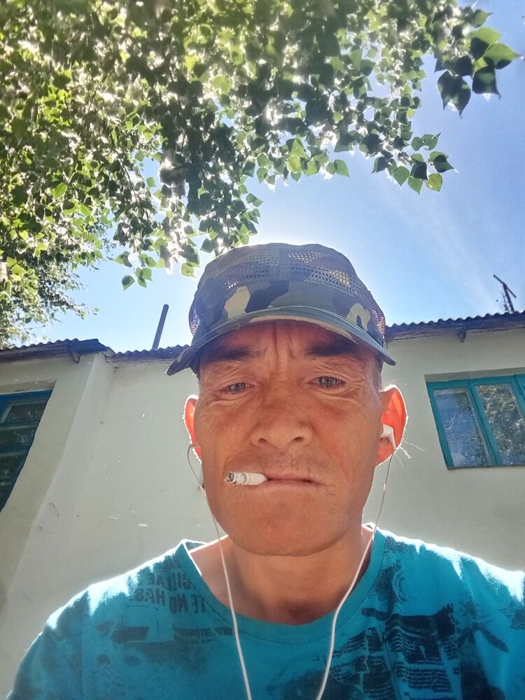  49230980  , 41 ,    