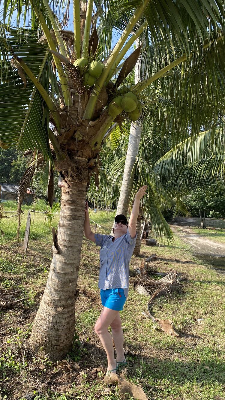 ���� 49425410 ������� ����, 55 ���, ���� ���������� � ������