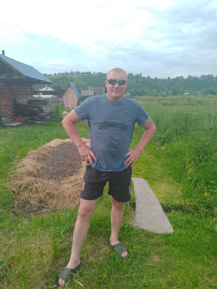  52936400  , 39 ,    -