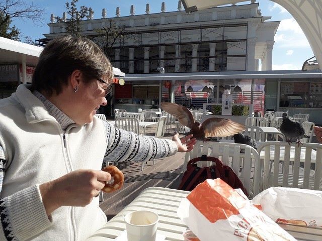 ���� 22902040 ������� ��������, 42 ����, ���� ���������� � ������